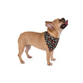 Rockford Rams Pet Bandana – Team Logo Dog & Cat Scarf
