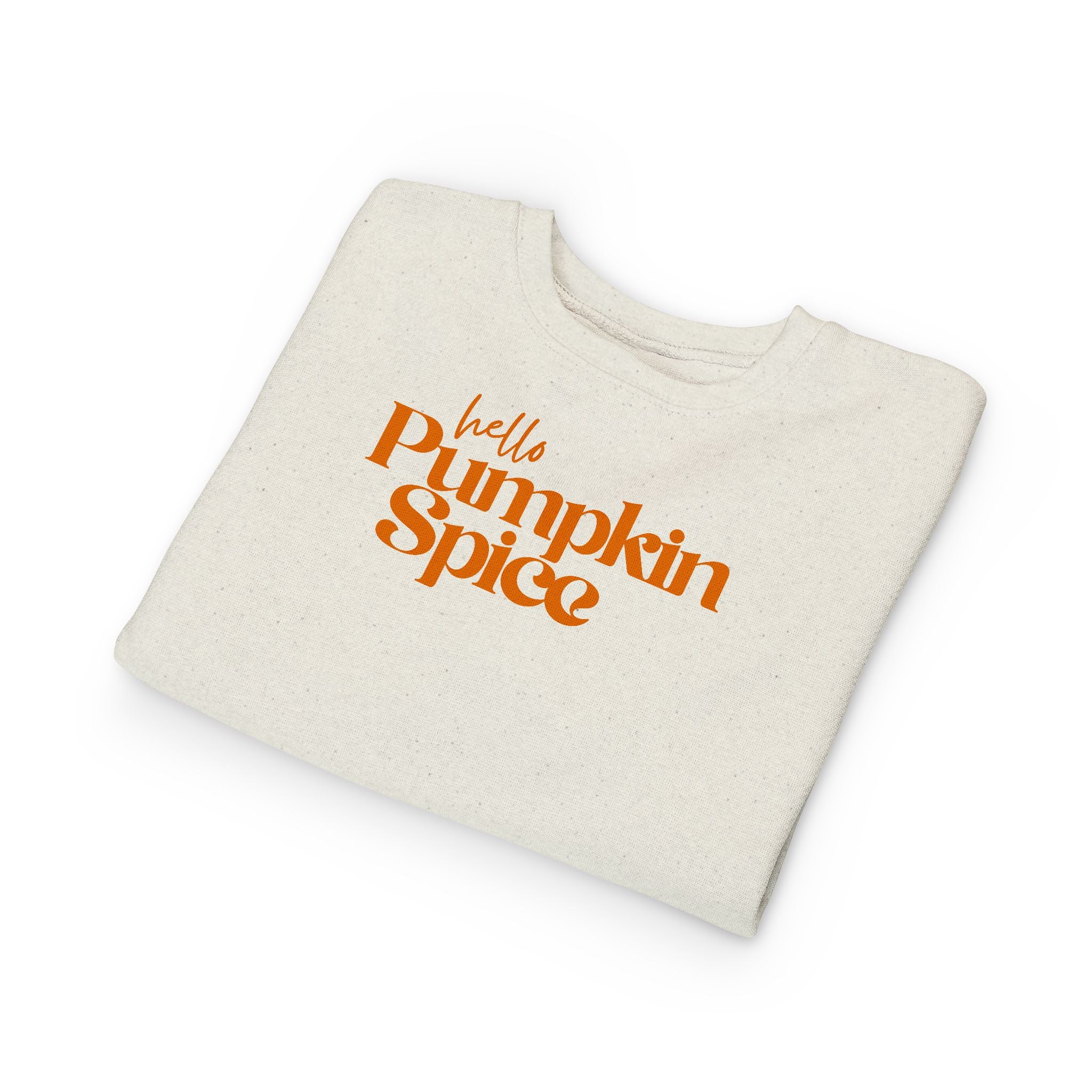 Toddler Sweatshirt - "Hello Pumpkin Spice" Fall Crewneck (Autumn Kids Sweater)
