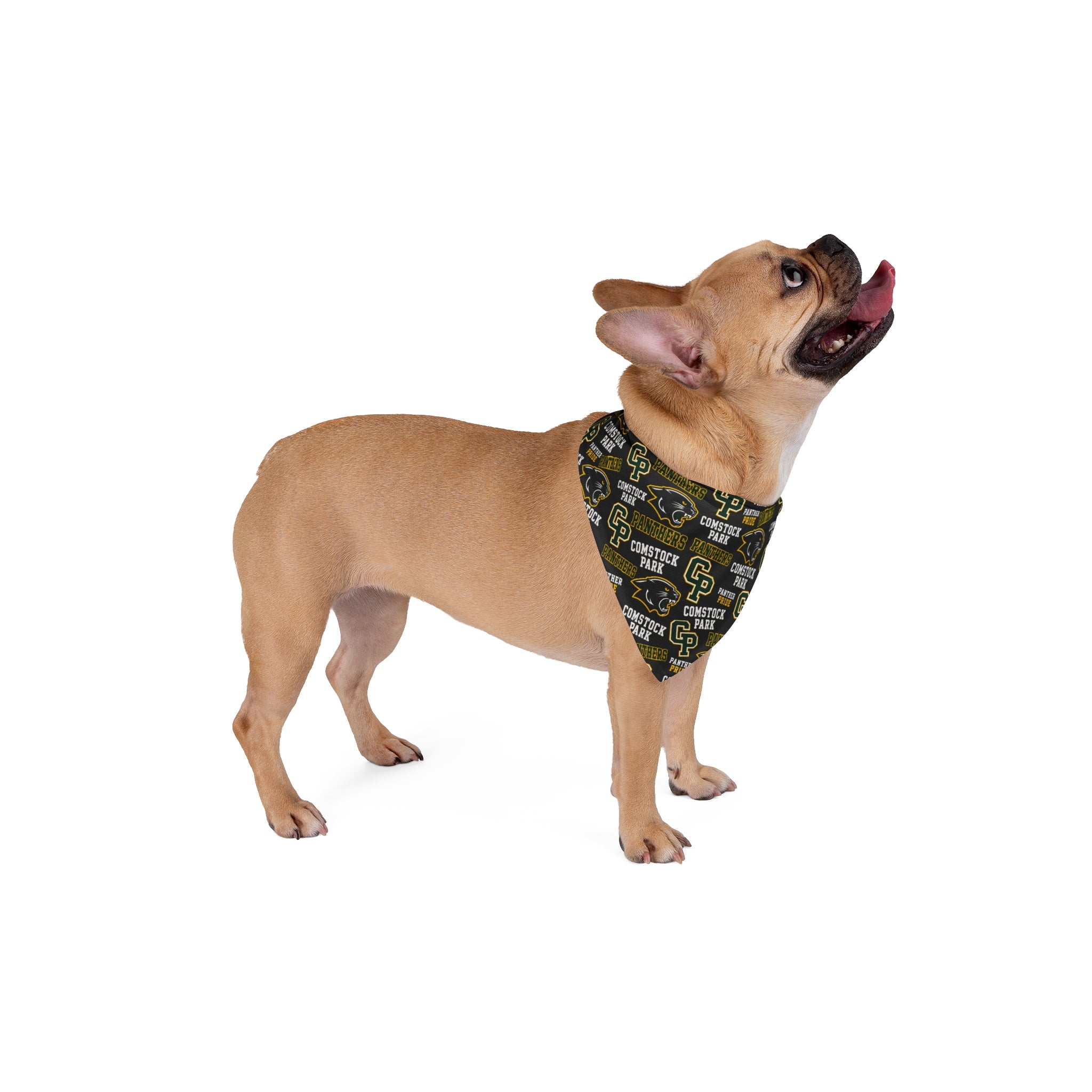 Comstock Park CP Logo Pet Bandana - Black & Gold School Spirit Dog Scarf