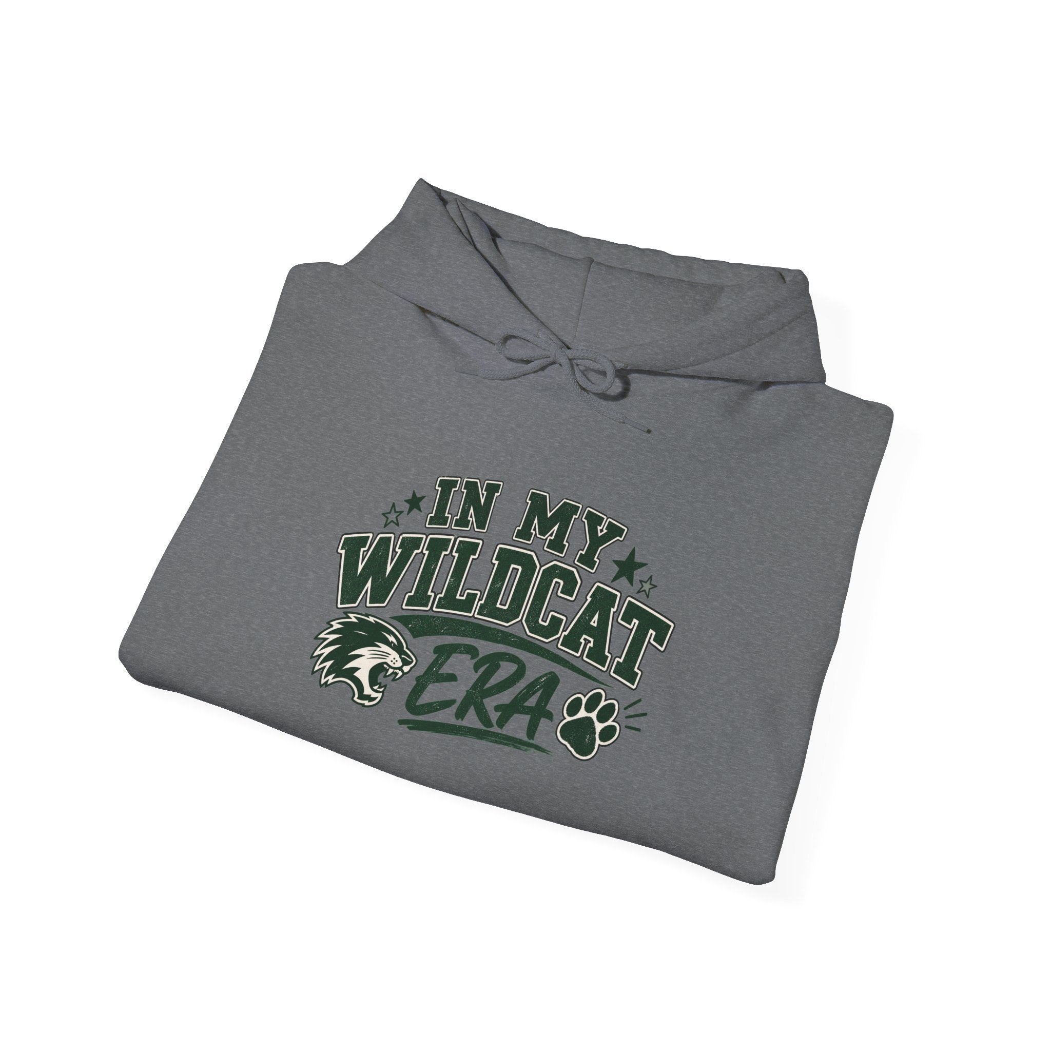 In My Wildcats Era Hoodie