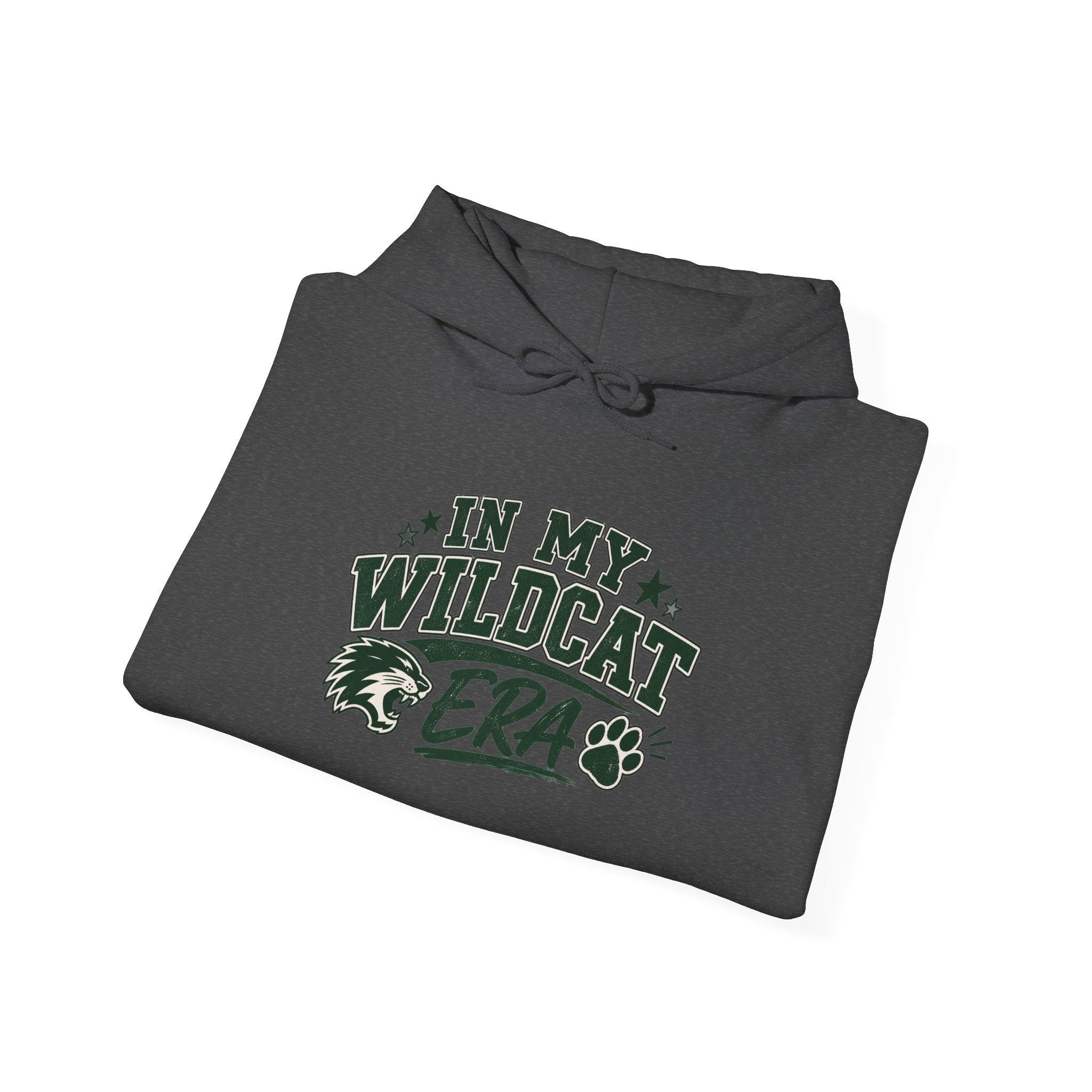 In My Wildcats Era Hoodie