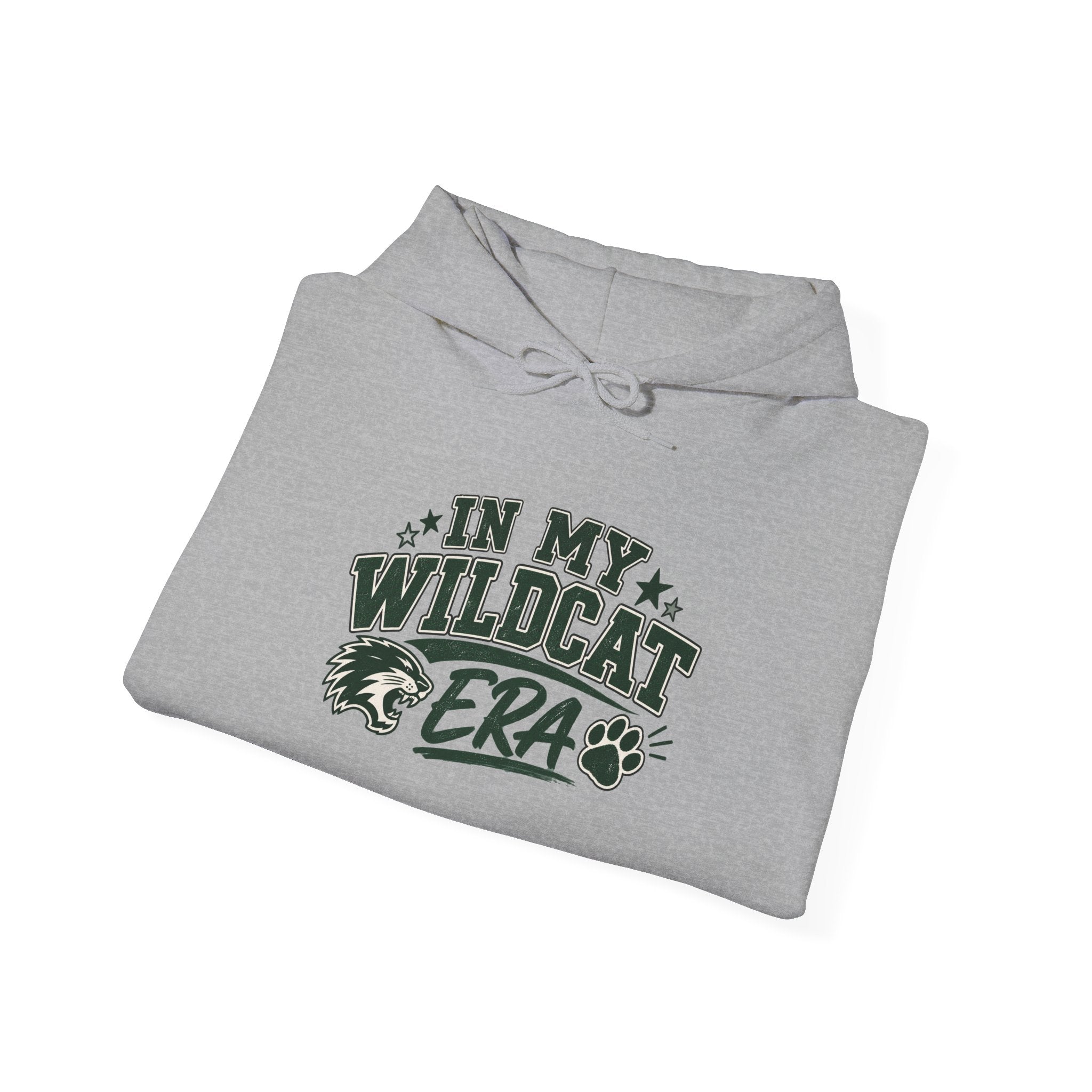 In My Wildcats Era Hoodie