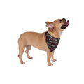 Cedar Springs Cardinals Pet Bandana – School Spirit Triangle Bandana for Dogs & Cats
