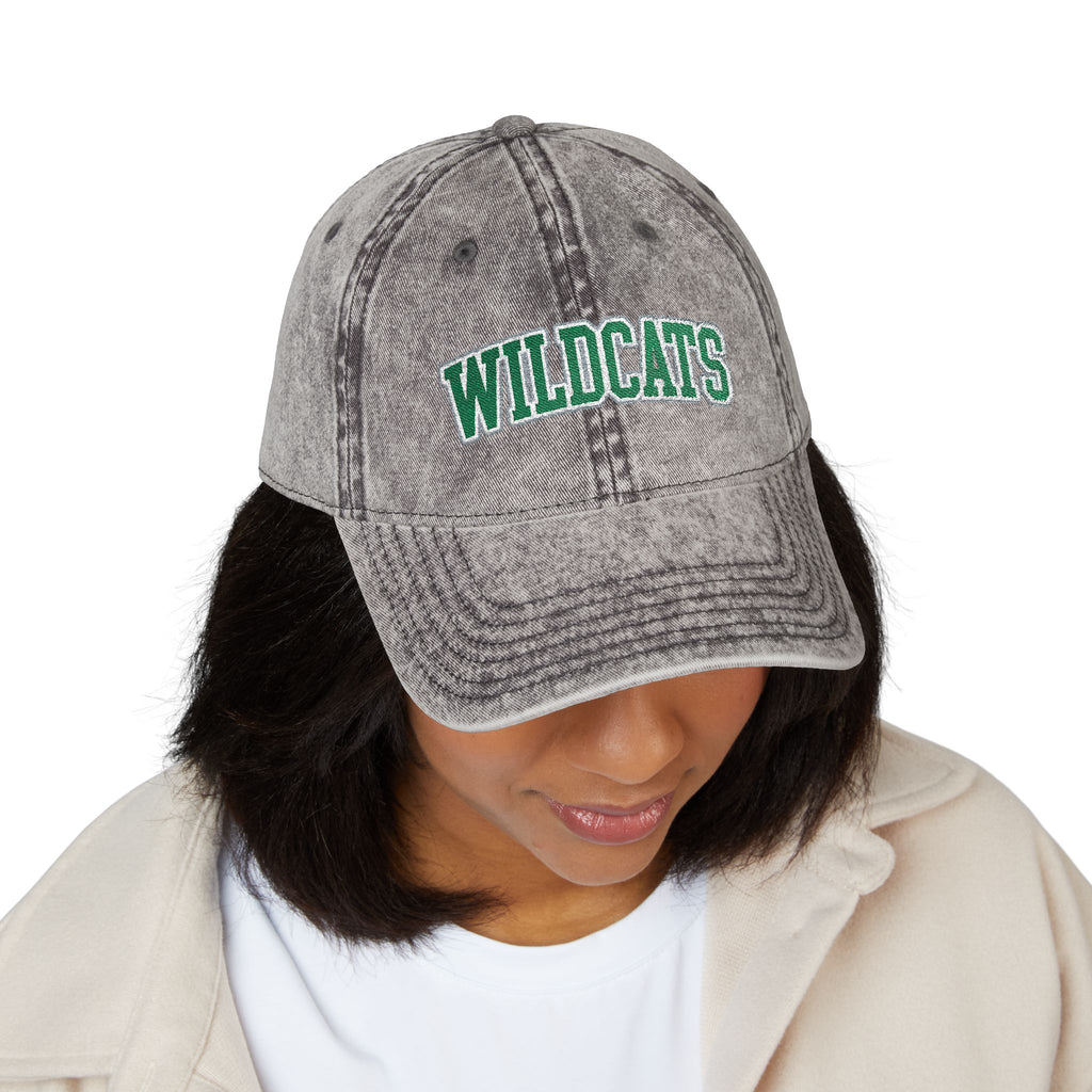 Vintage Embroidered 'Wildcats' Cap – Washed Retro Baseball Hat