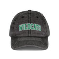 Vintage Embroidered 'Wildcats' Cap – Washed Retro Baseball Hat