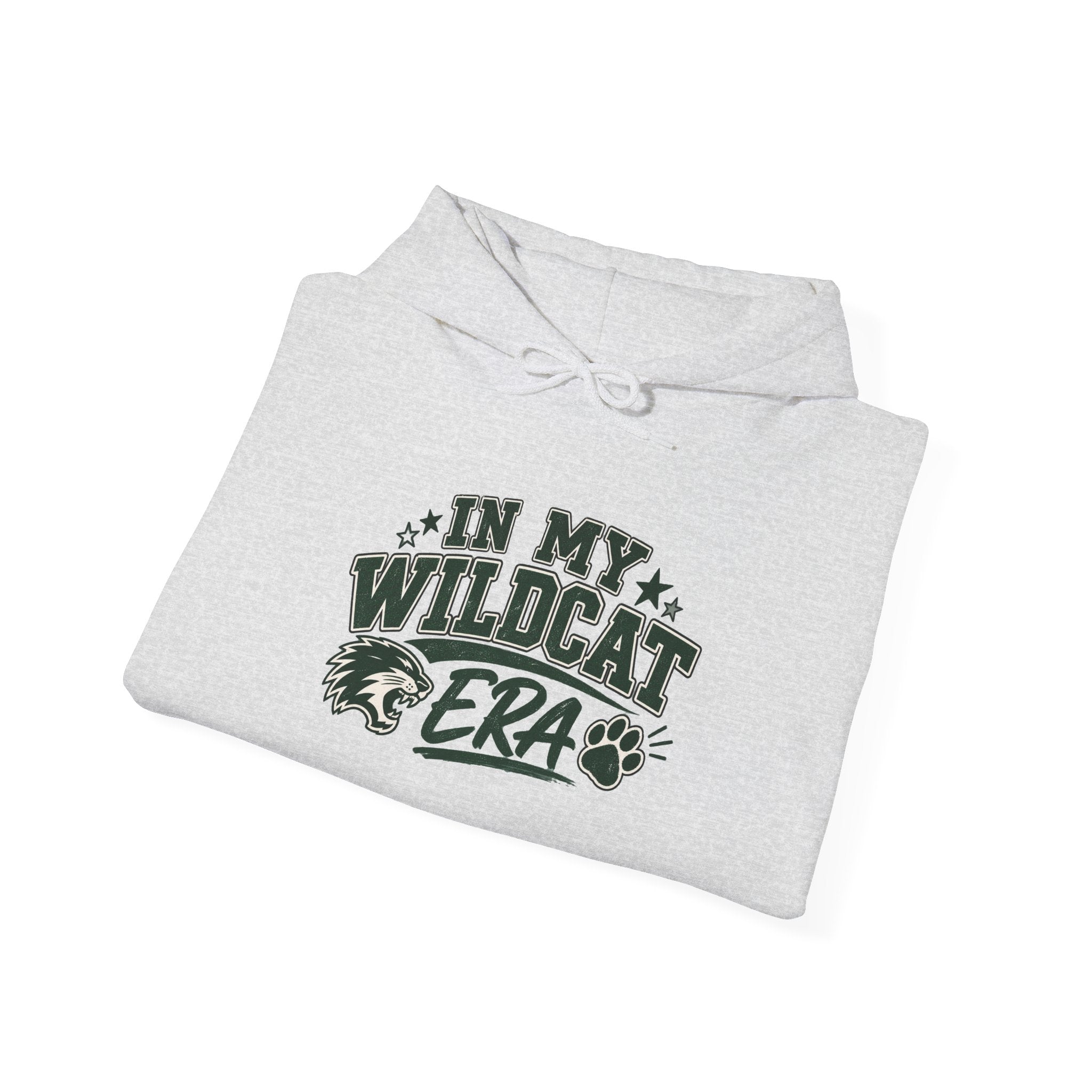 In My Wildcats Era Hoodie