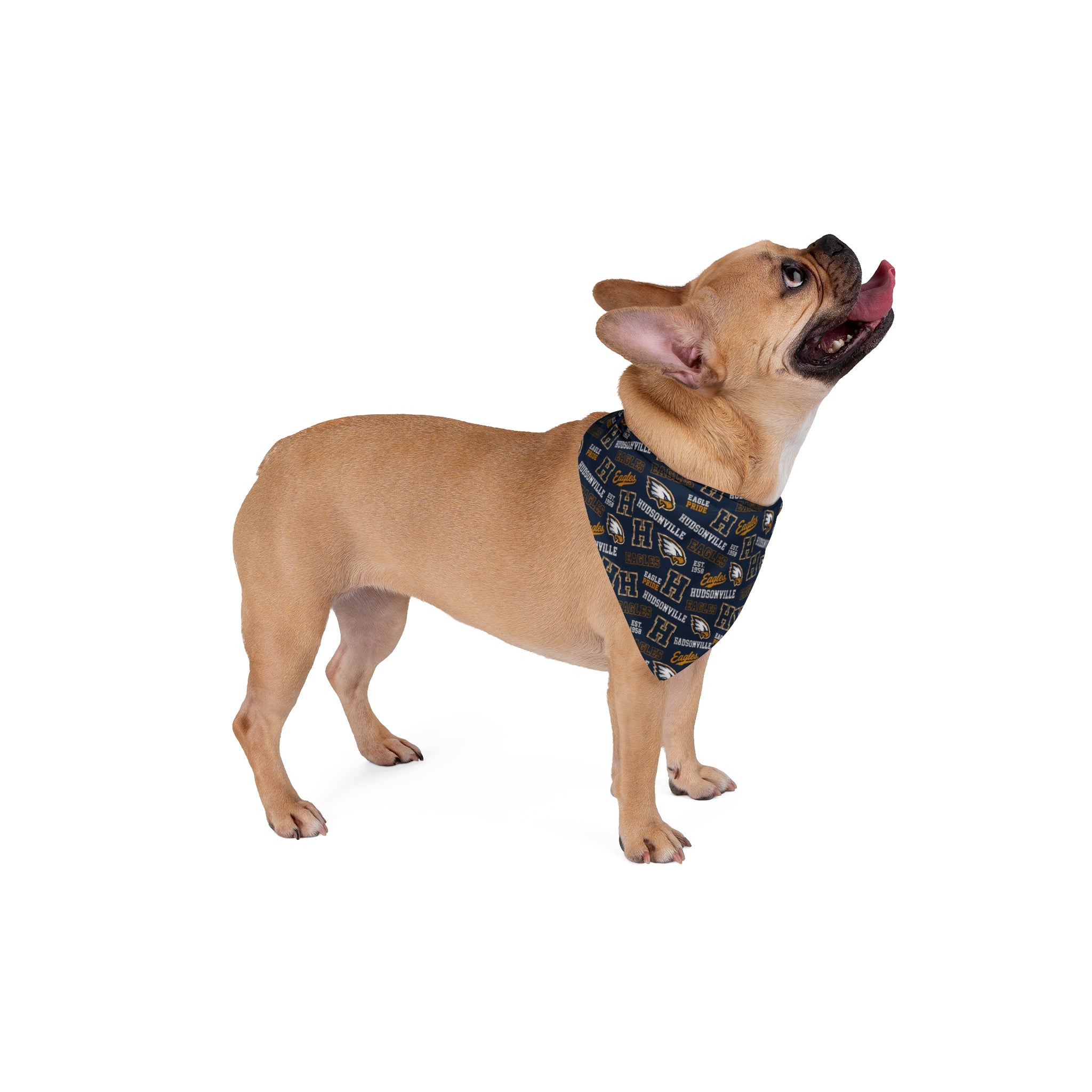 Hudsonville Eagles Pet Bandana — Navy Repeat Logo Dog & Cat Scarf